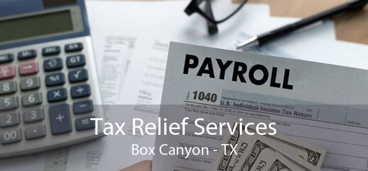 Tax Relief Services Box Canyon - TX
