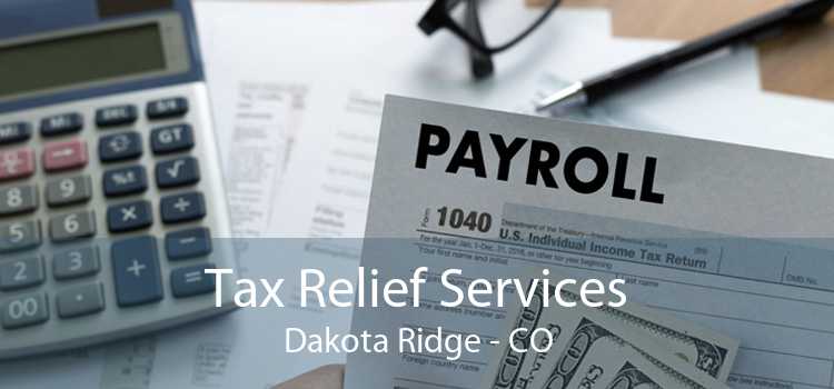 Tax Relief Services Dakota Ridge - CO