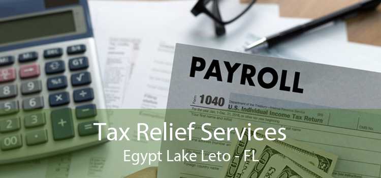 Tax Relief Services Egypt Lake Leto - FL