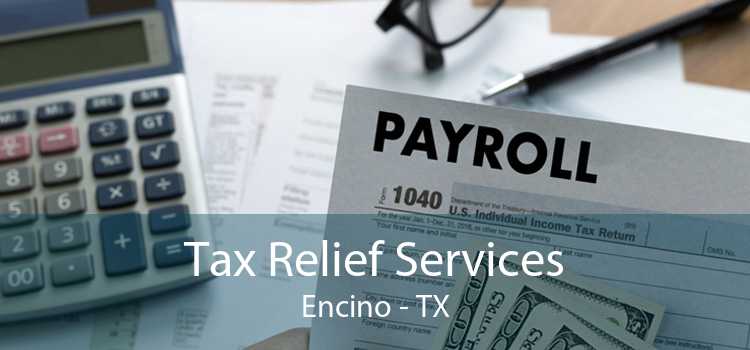 Tax Relief Services Encino - TX