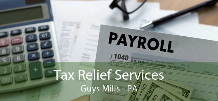 Tax Relief Services Guys Mills - PA