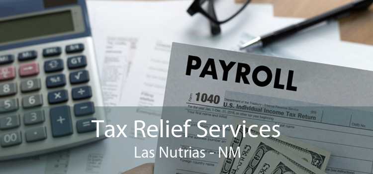 Tax Relief Services Las Nutrias - NM