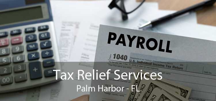 Tax Relief Services Palm Harbor - FL